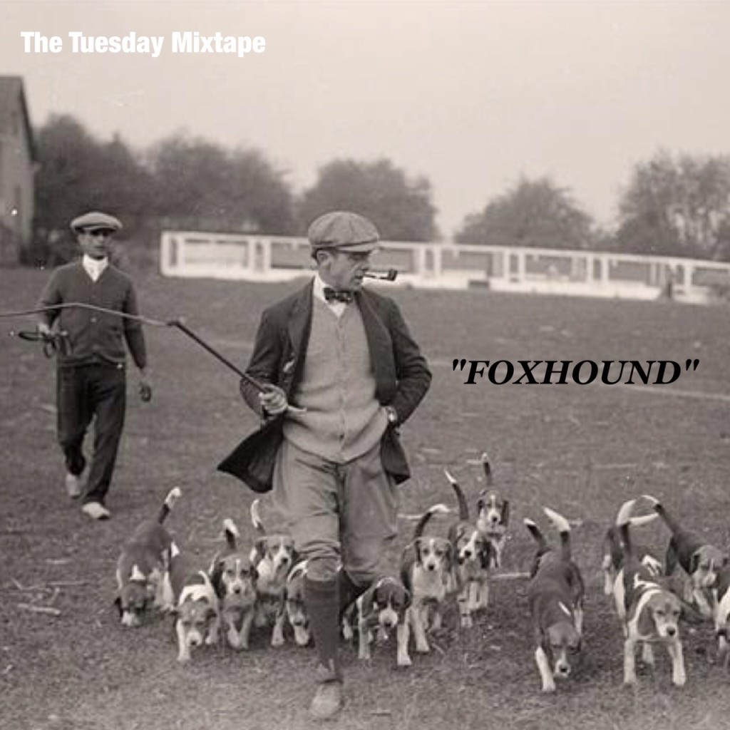 Foxhound 2